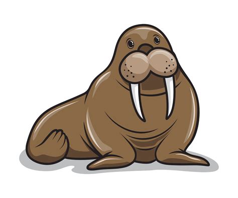 walrus animal cartoon